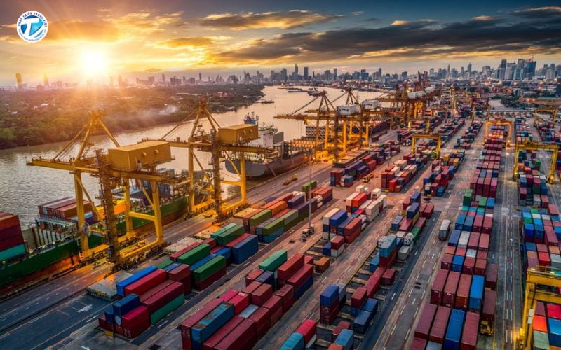 Ngành logistics là làm gì là câu hỏi phổ biến trong lĩnh vực cạnh tranh cao hiện nay